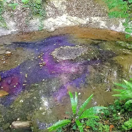 Montebello Arte E Natura * Montasico