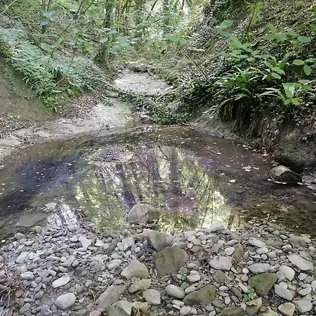 Montebello Arte E Natura Montasico